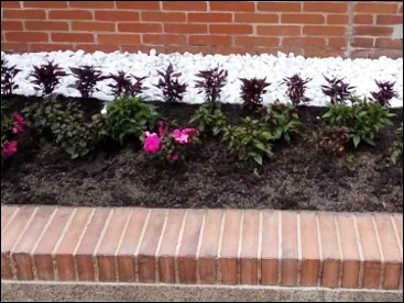 Después — La misma jardinera sembrada con plantas ornamentales y piedra blanca decorativa