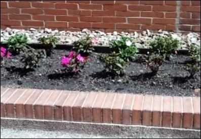 Antes — Jardinera con pocas plantas y tierra a la vista junto a un muro de ladrillo