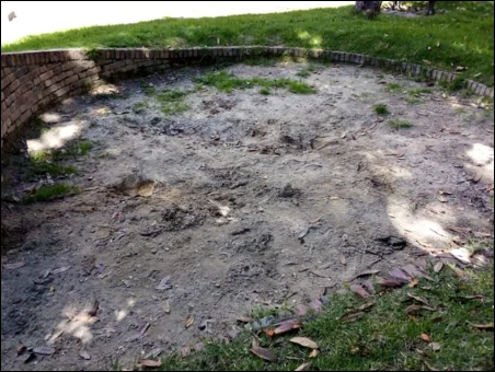 Antes — Zona circular de tierra compactada y sin césped alrededor de un balancín
