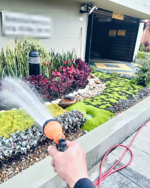 Después — Jardín integral terminado, con plantas ornamentales, piedras y musgo, durante el riego